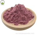 Brasil orgánico ACAI Berry Powder Benefits